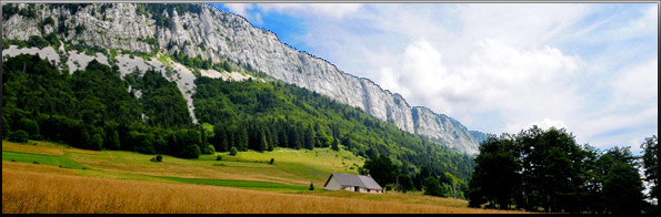 Inscription aux stages de musique de l'ARS